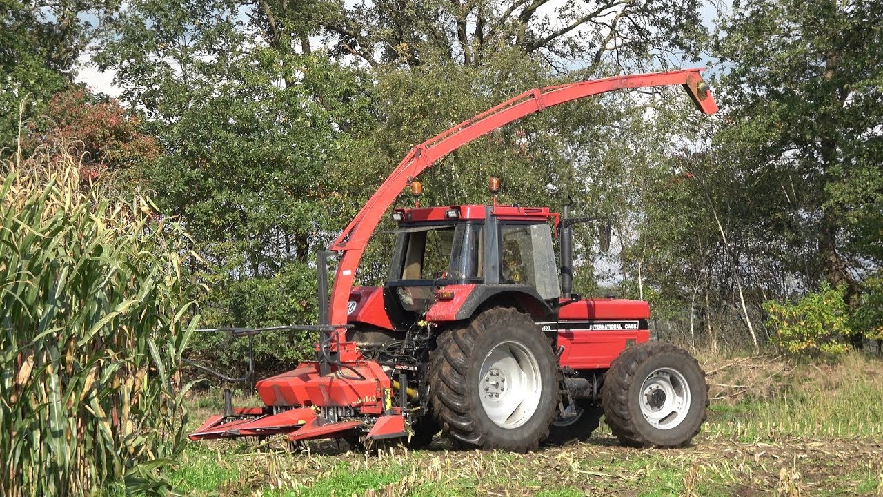 Mais hakselen met Case International 1255XL en PZ Greenland MH 180 S Quattro (2019)