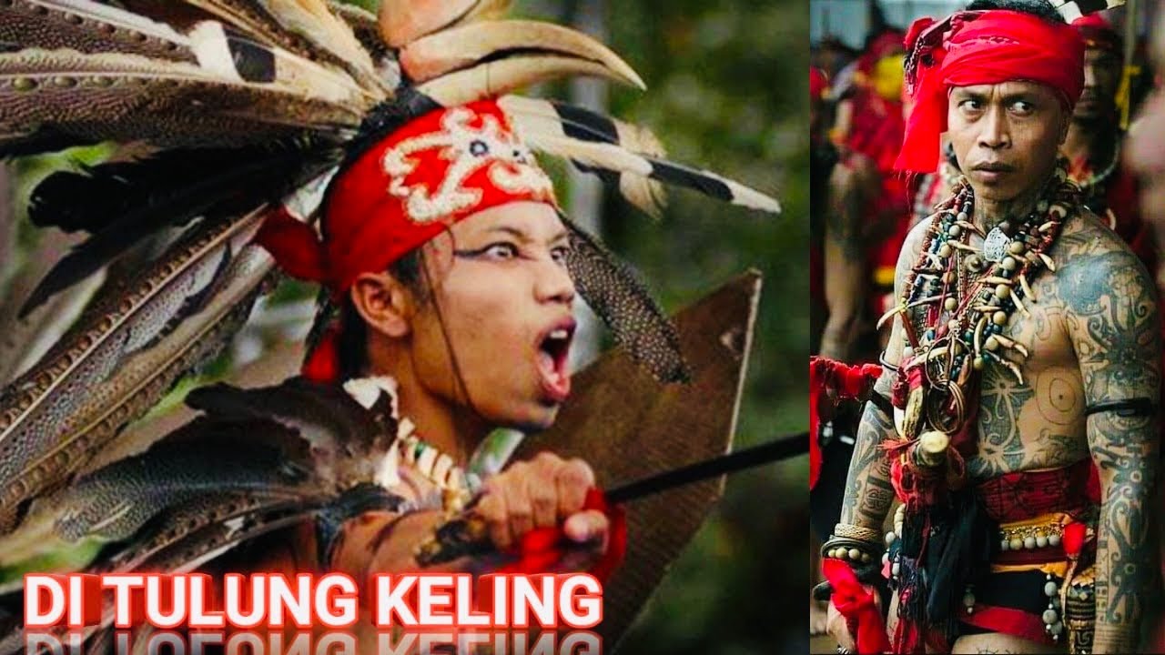 Keling Ngau Kumang Nyaru Diri…