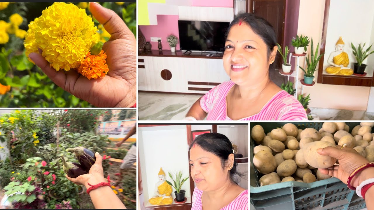   এভাবেই সংসারে সাশ্রয় করে মাসের শেষে কিছু জমানো যায়   !! পরিশ্রম কালও করেছি আজও করি 