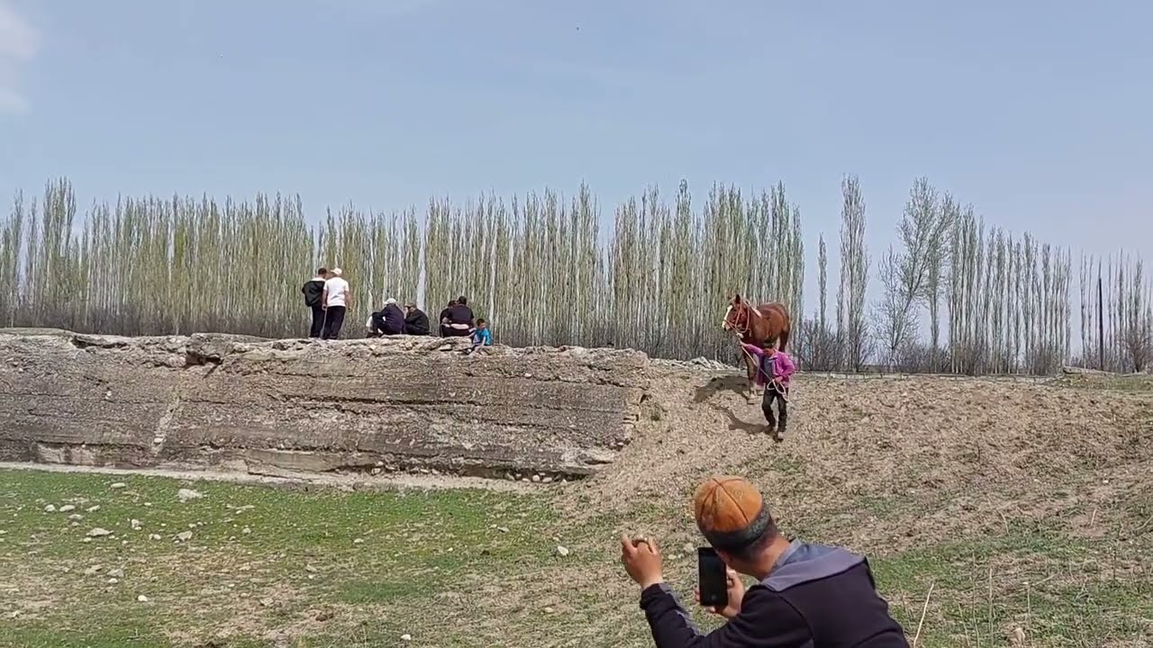 Айгыр салды Жаш айгырлар биринчи жолу койулду.
