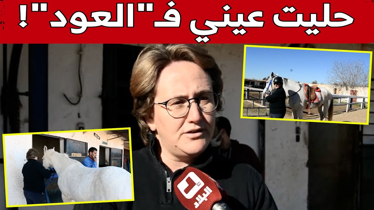 منصورية بريكسي من تلمسان.. تعشق تربية الخيول وتدريب المواهب.. شاهدوا