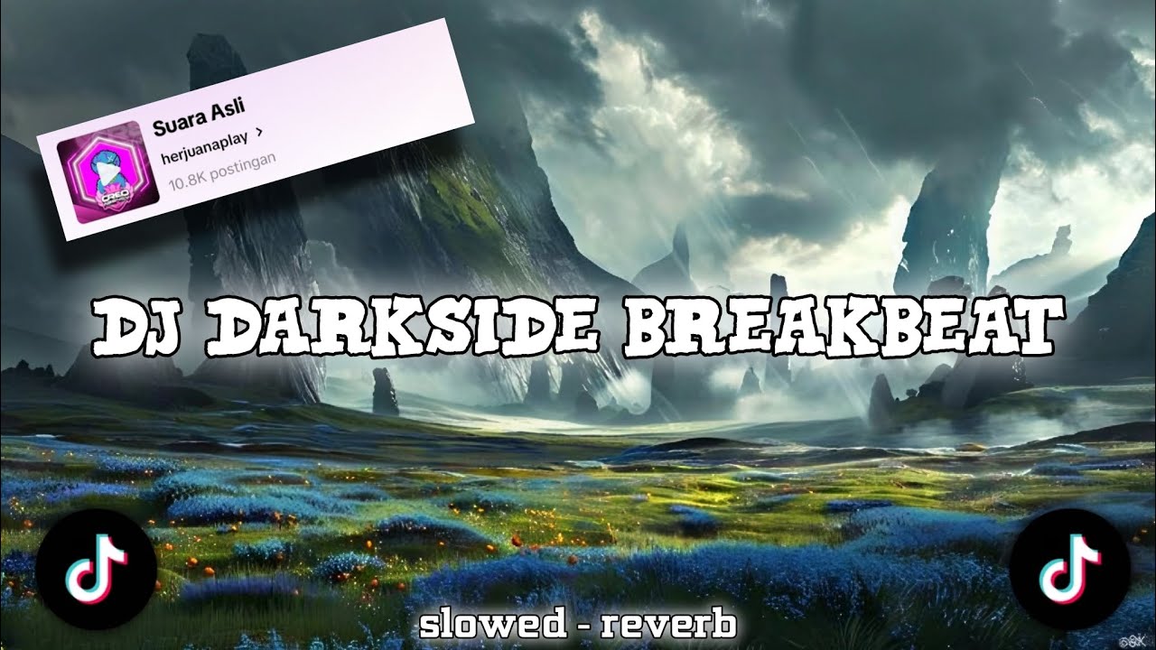 DJ DARKSIDE BREAKBEAT By 𝙙𝙟𝙗𝙚𝙧𝙟𝙪𝙖𝙣𝙜 || slowed - reverb🎧
