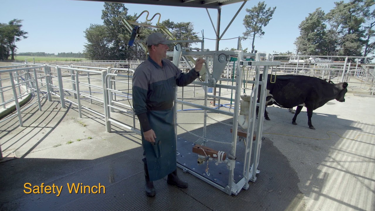 Veehof - WOPA cattle crush