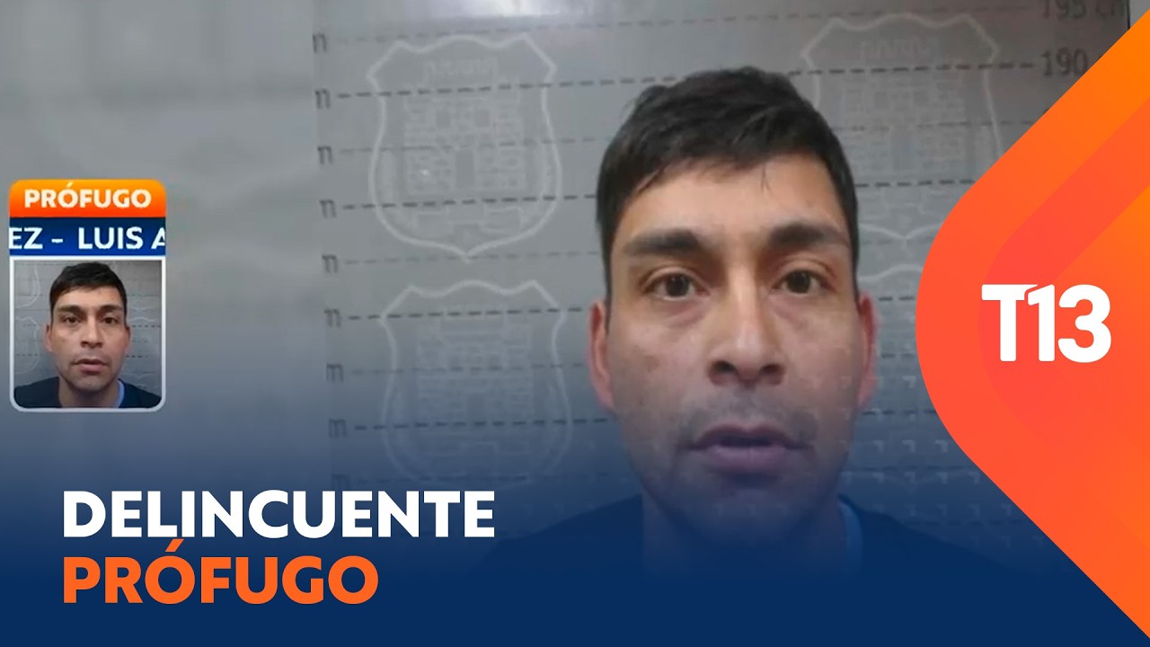 Delincuente liberador 