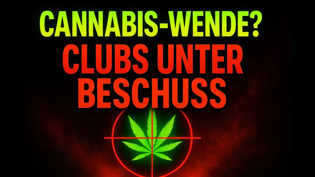 Cannabis-News Dezember 2025: Cannabis-Abgabe, Weihnachtsmarkt-Verbote & Club-Zoff