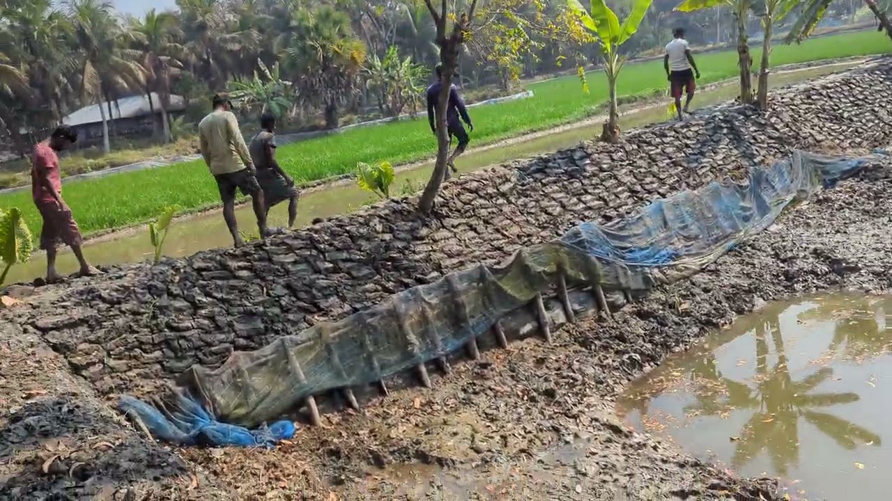 Big Fish Pond Preparation | Lime, Fertilizer & Water Treatment