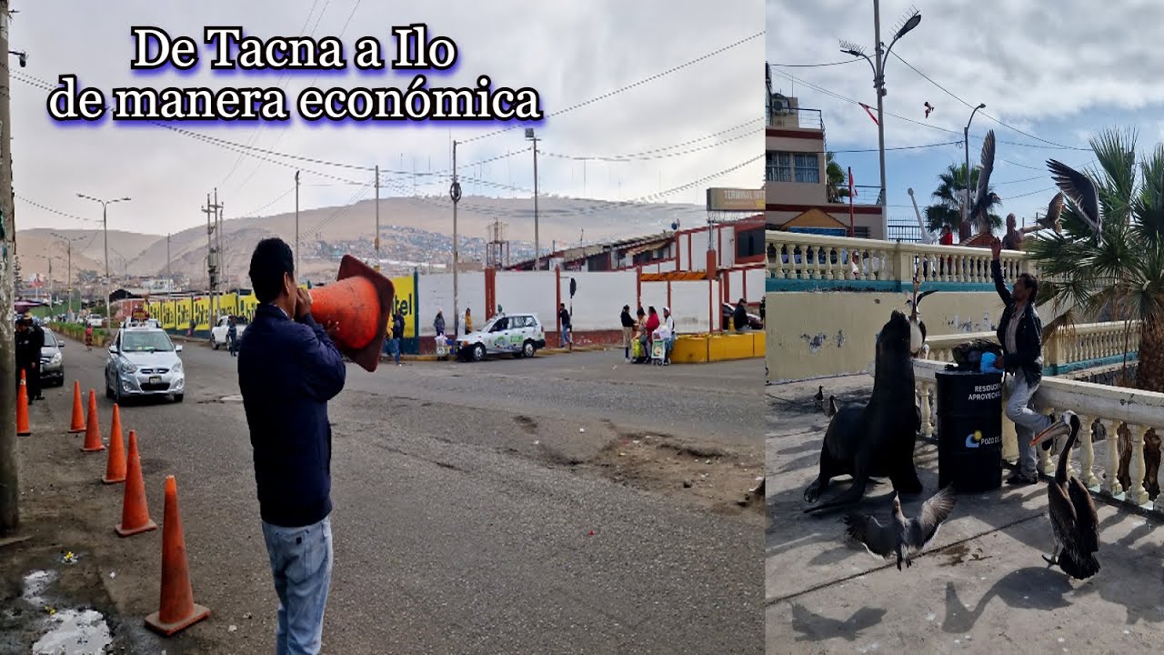 ¿Cómo ir de Tacna a Ilo con poco dinero? Tips para movilizarse en Perú