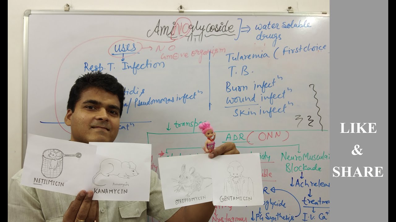 Aminoglycoside Pharmacology | Classification Mnemonics | ADR, Uses, Mechanism |  GPAT, NEET PG Hindi