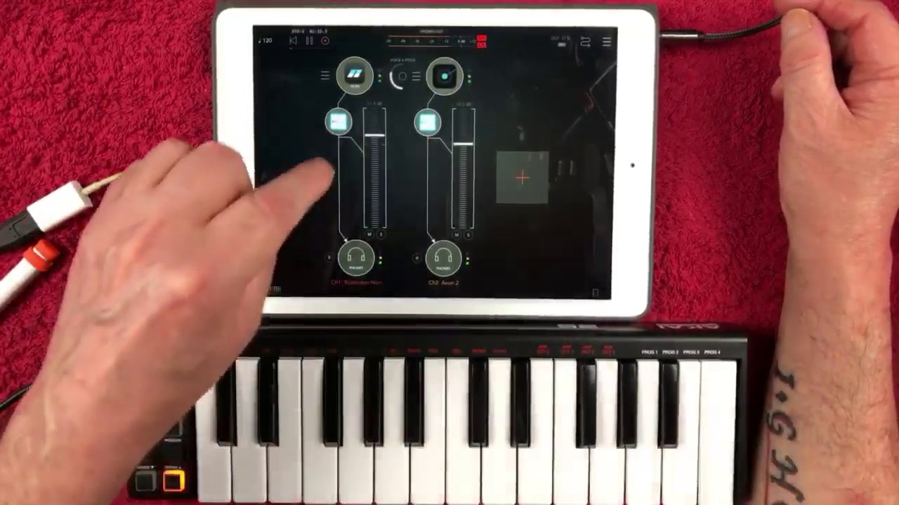 BLEASS AUv3 Reverb - Pre-Release Demo for the iPad