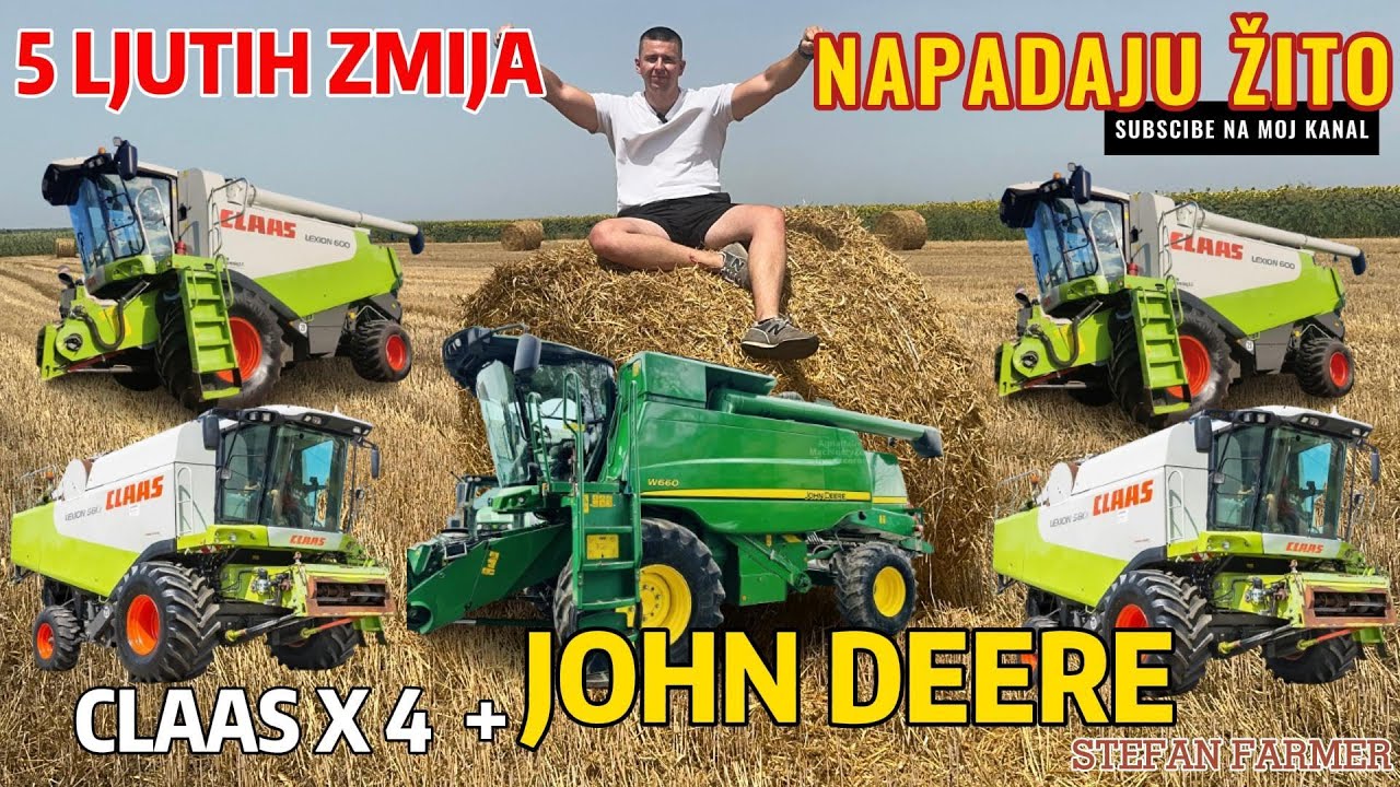 5 LJUTIH ZMIJA NAPADAJU ŽITO !!!