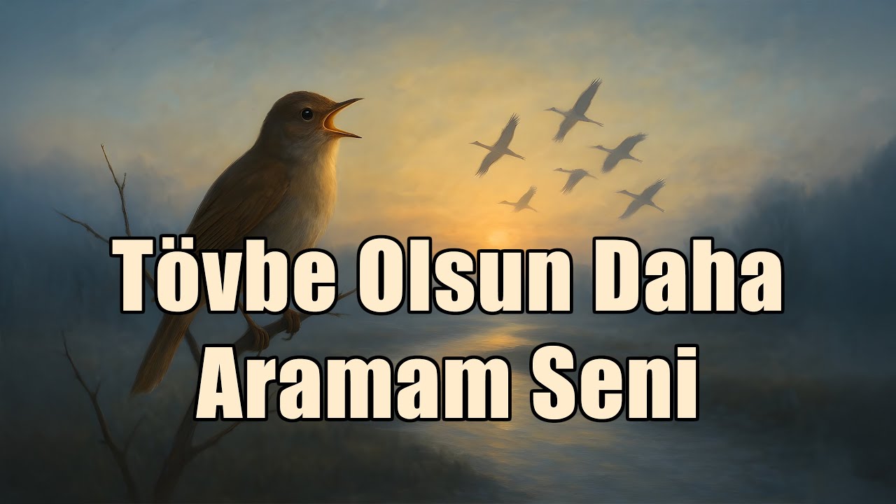 T&ouml;vbe Olsun Daha Aramam Seni | Anatolian Psychedelic Rock Cover (Anatolian Rock Echoes)