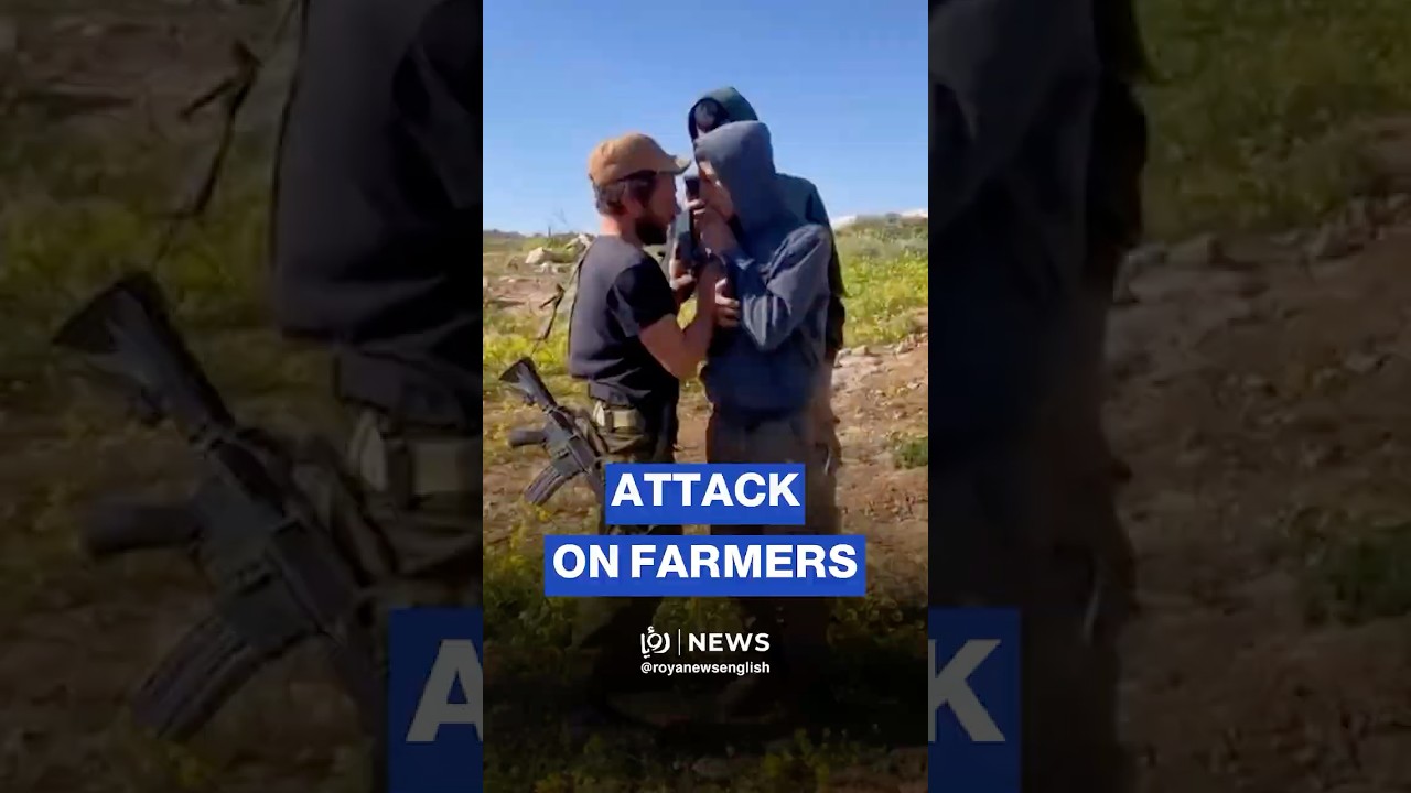 &lsquo;Israeli&rsquo; settler attacks farmers, destroys crops in Hebron