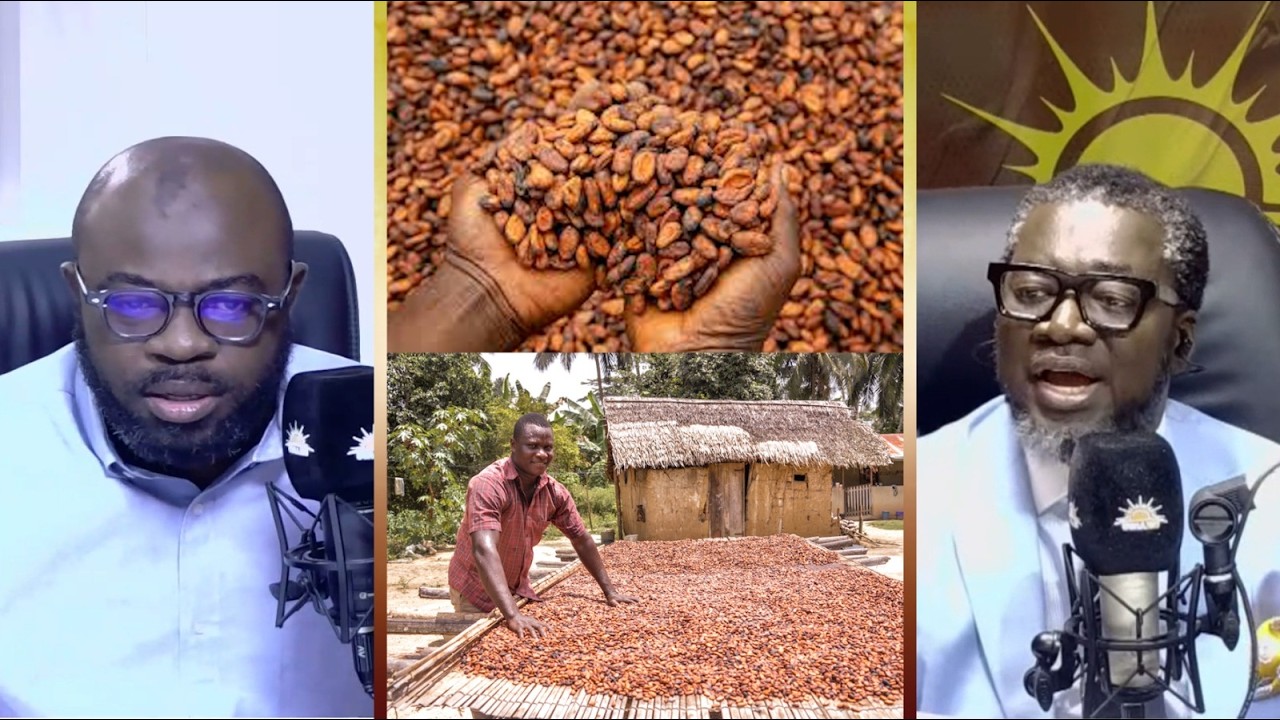 Let's stop politicising the cocoa sector crisis- Daniel Sasu Maari- NDC Communicator.