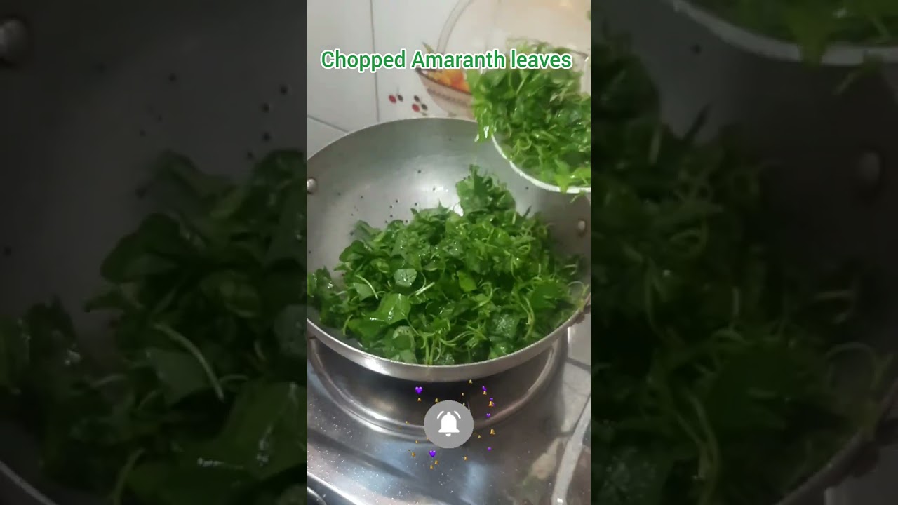 Highly Nutritious Green Amaranth Leaves🍃(kosada saga)Fry Without Onion,Garlic #shorts #youtubeshorts