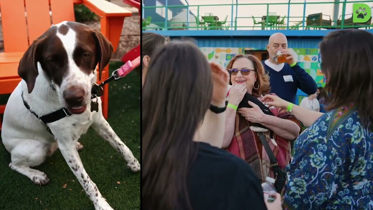 Dallas Pets Alive 2025