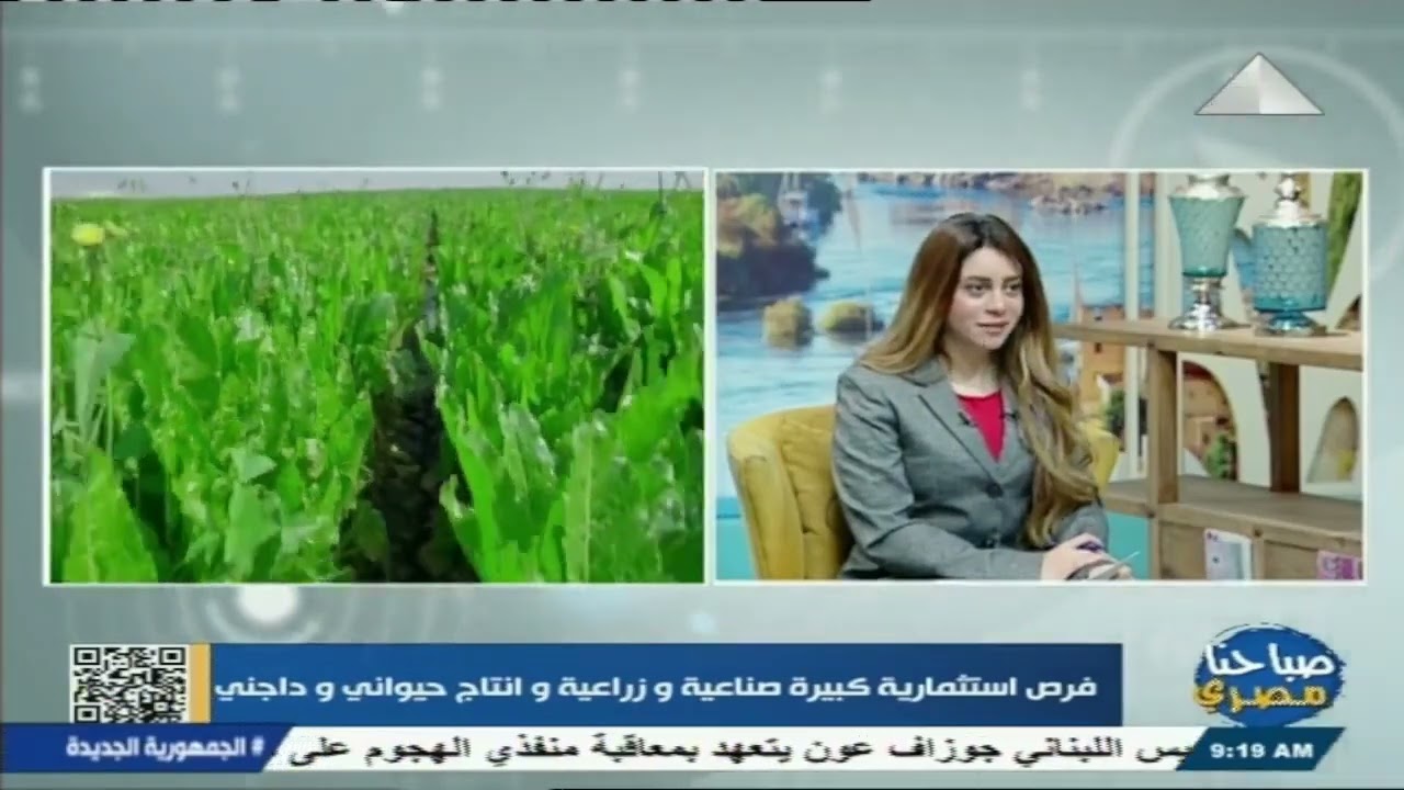 صباحنا مصري :هاني حجازي رئيس الهيئة العامة لمشروعات التعمير والتنمية الزراعية  16-2-2025