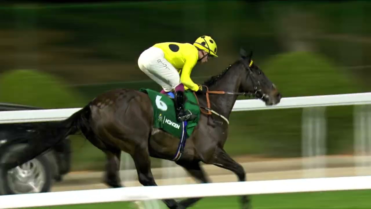 The Saudi Cup 2026 (Sat 14th Feb) Race 7 - NEOM TURF CUP