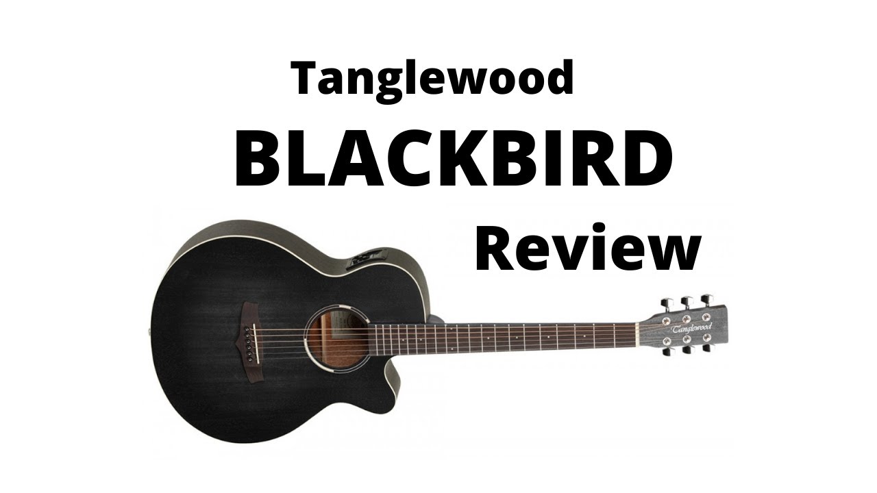 Tanglewood Blackbird Guitar Review