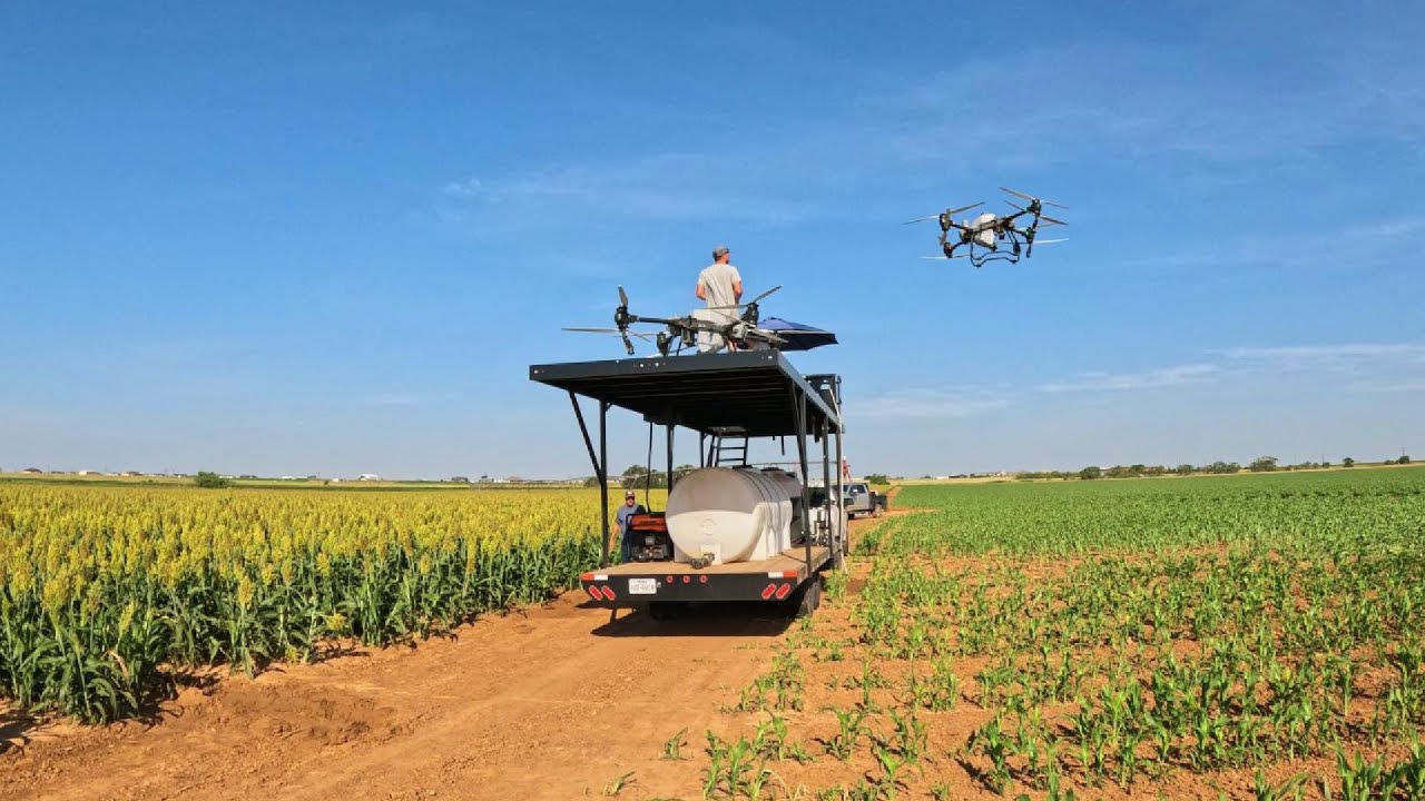 Drones Flying Irrigated Milo