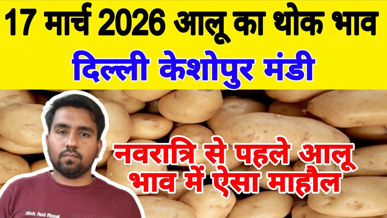 दिल्ली आलू का भाव | 🥔potato market price today | Aaj ka aalu bhav | 17 March 26 #potato #Aalukebhav