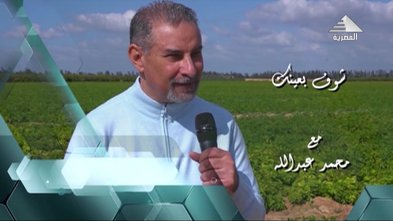 مستقبل تصدير البطاطس للخارج  مع محمد عبد الله |#شوف_بعينك