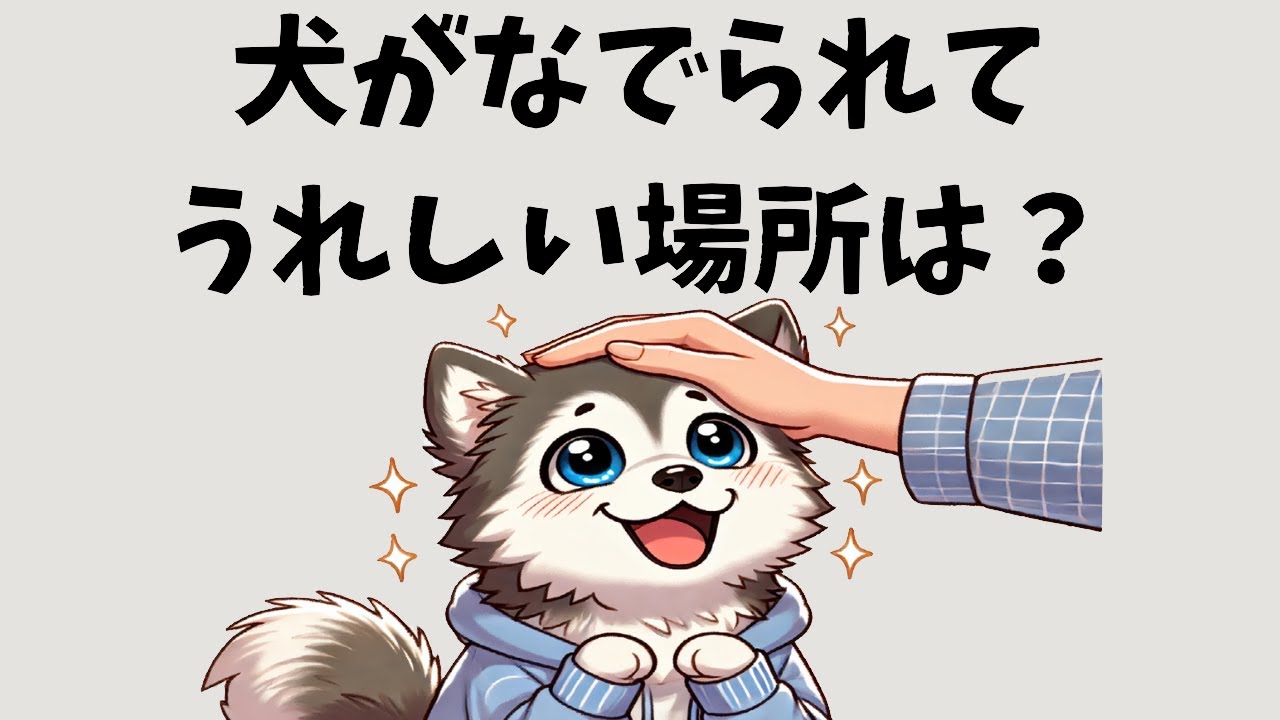 犬がなでられてうれしい場所は？7選