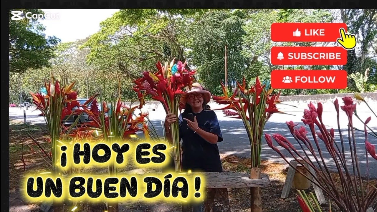 POPURRÍ DE ACTIVIDADES 🤓