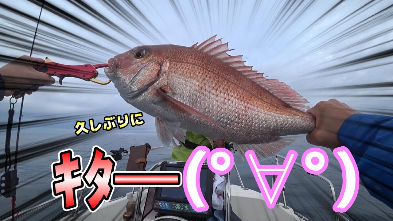 【SLJ】ひさびさキター!!