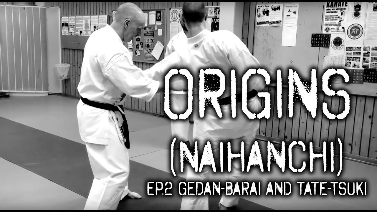 Don Came - Origins seminar ep 2 - Naihanchi/Tekki-Shodan part 2