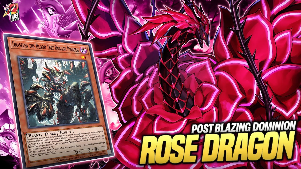 Deck Rose Dragon Post Blazing Dominion | MDPRO3 | Replays  & Decklist