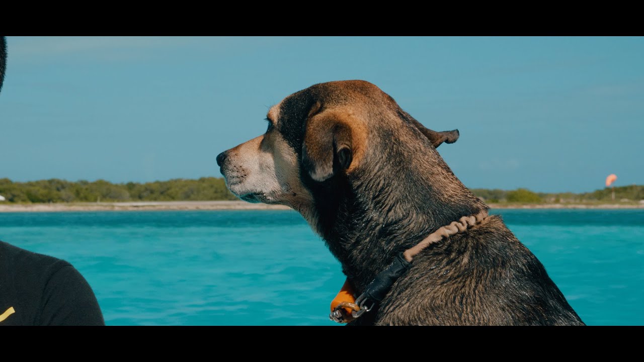 Saltando en Los Roques, Venezuela