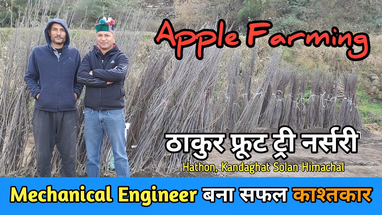 Visit Himachal| Mechanical Engineer बना काश्तकार| हाथों गांव| कंडाघाट| Solan @hillvani 