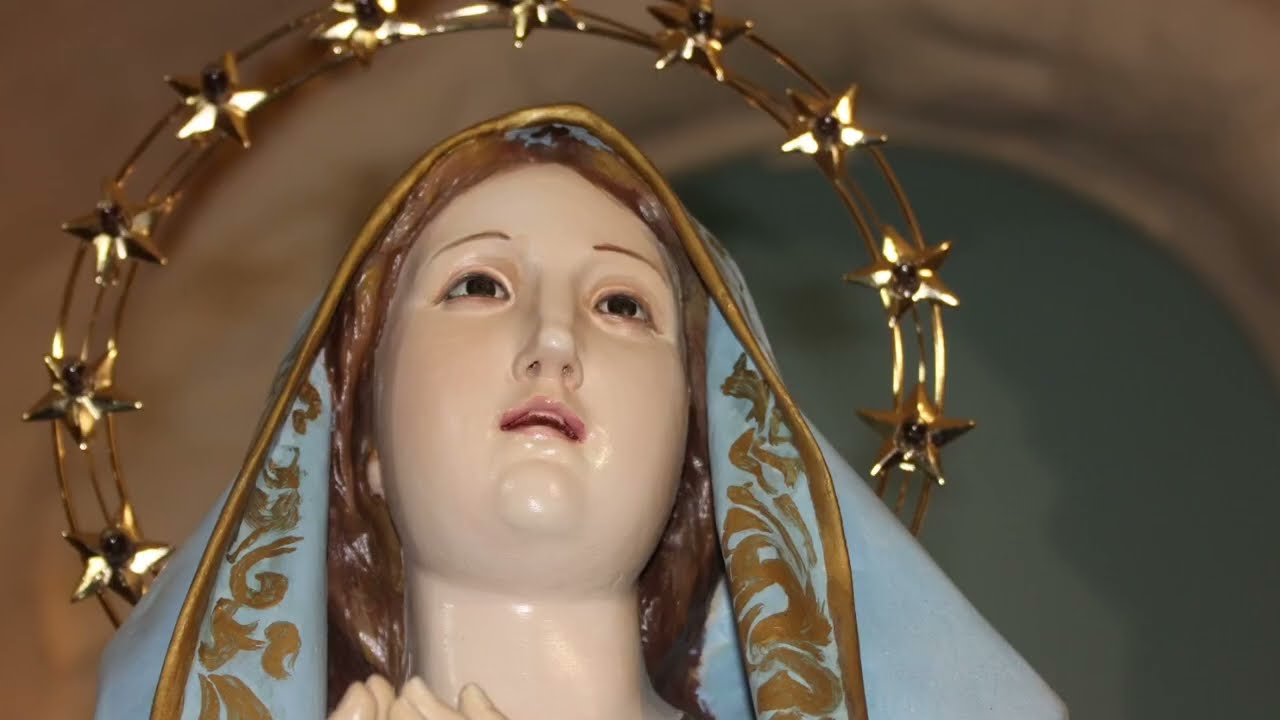 Processione Immaccolata Ceglie del Campo 8 dicembre 2025 