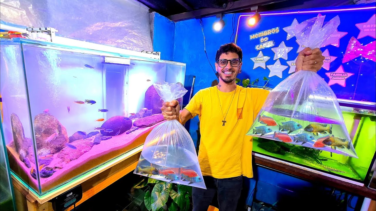COMPREI TODOS OS PEIXES DA LOJA PRA COLOCAR NO MEU AQUÁRIO NOVO