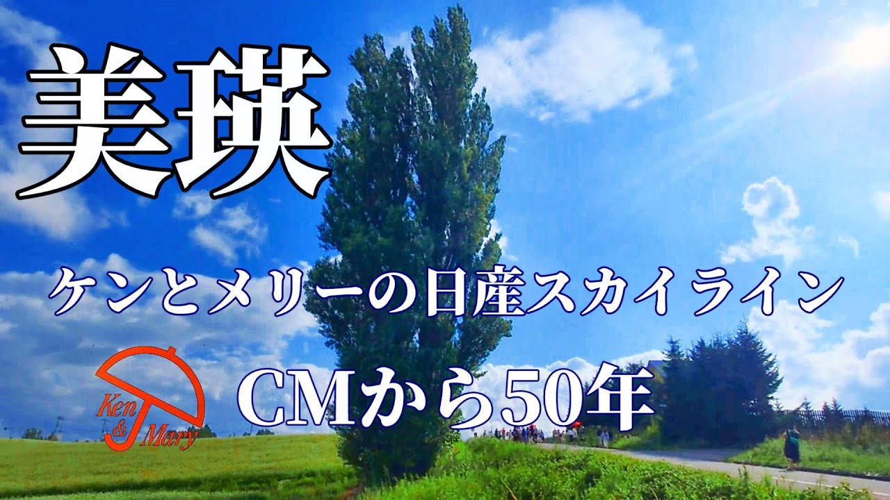 【美瑛】ケンとメリーの木1972年スカイラインCMロケ地