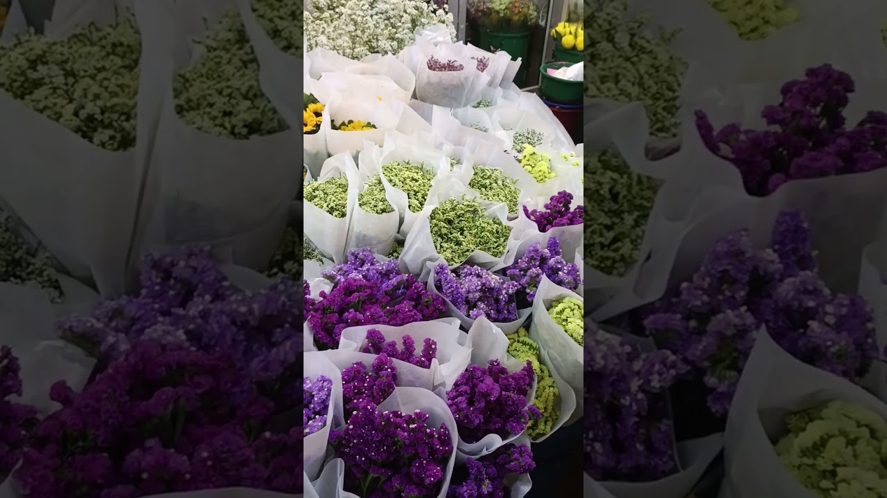 Rare Flower Review 2024 #beauty #flowerstagram #asmr #diy #beautiful #flowers #gaming #FIFA #funny