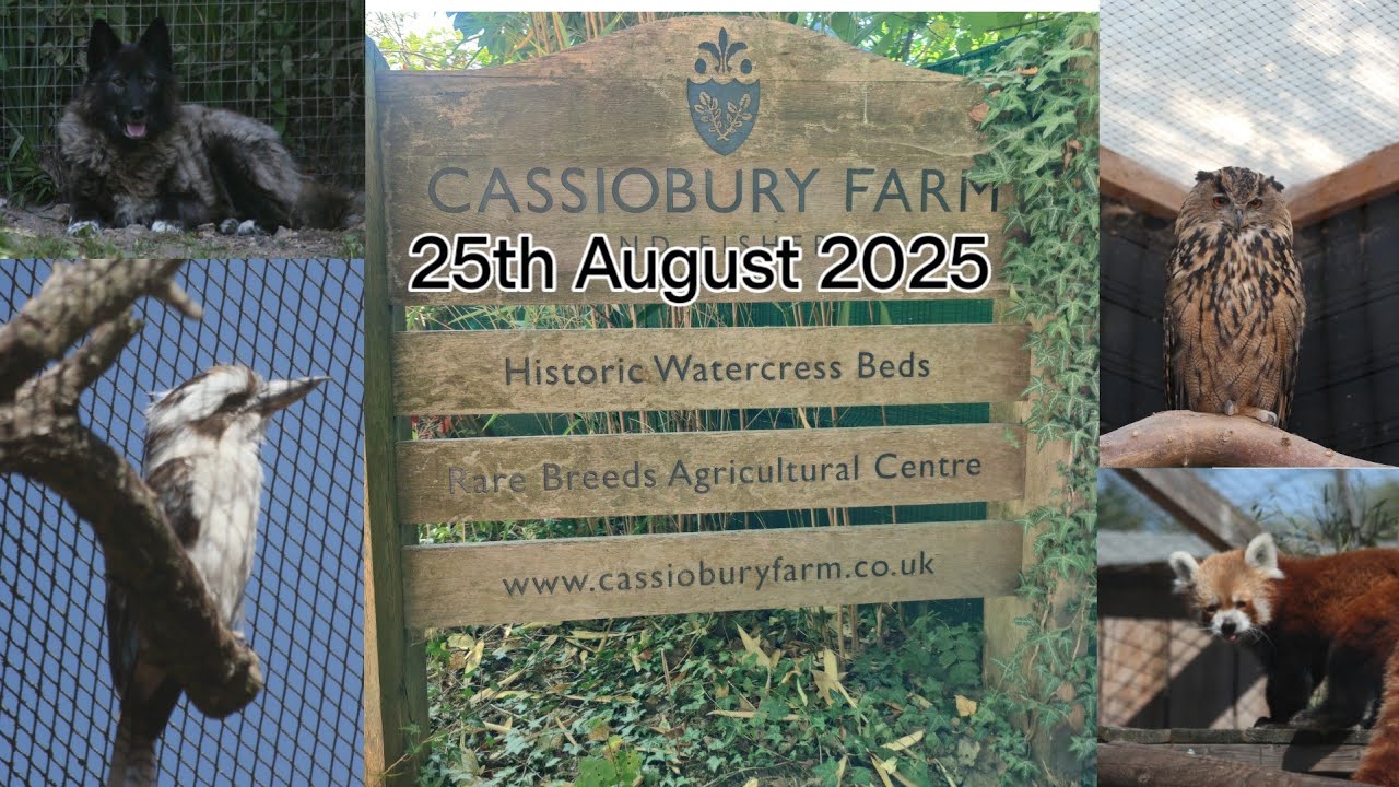 Cassiobury Farm 25th August 2025