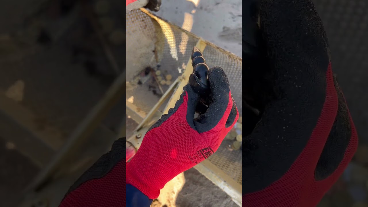 Чистка пляжа от золота и тысячи евро