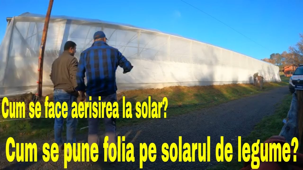 CUM se pune FOLIA+PLASA DE INSECTE pe solarul de legume❓