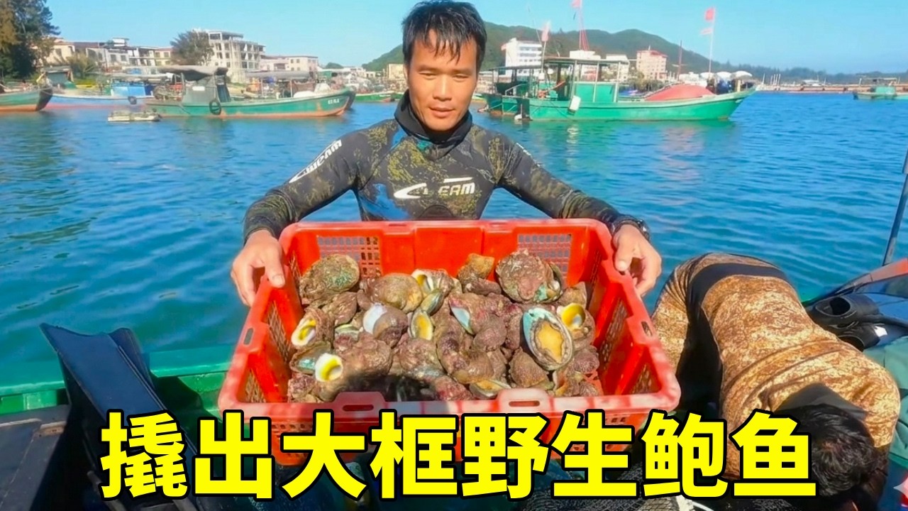 潜入12米深海！在大洲岛撬出大框野生鲍鱼，配上土鸡炖一锅，这才是男人的浪漫【探海漁人】