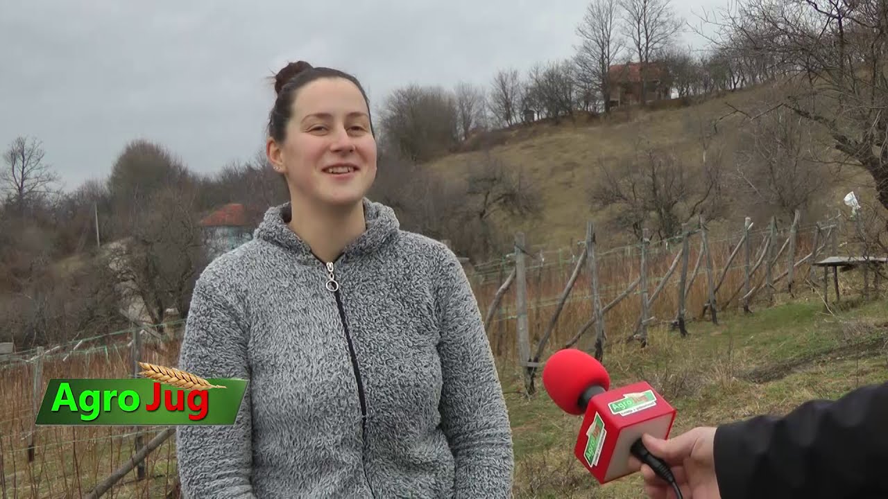 Snežana Cvetković Kijevac Surdulica: Od maline se može solidno živeti, ako se pravilno radi!