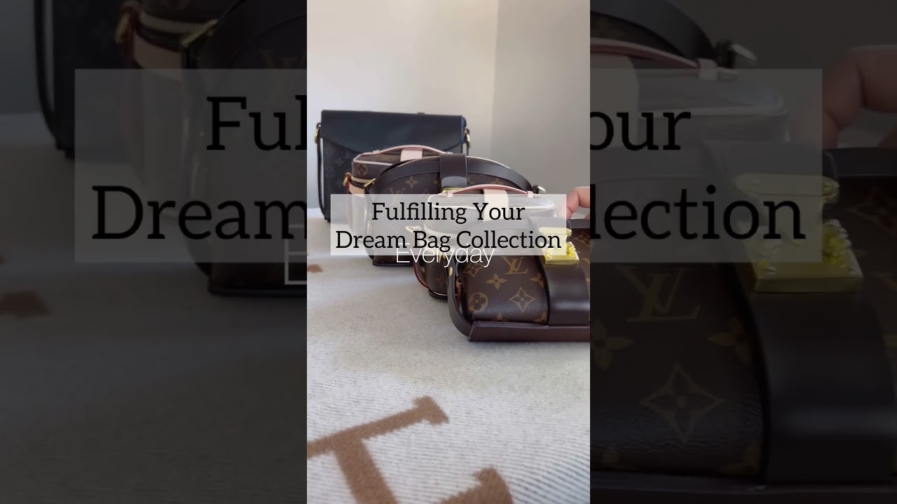 LV SLG Handbag Collection! All Rare Pieces 