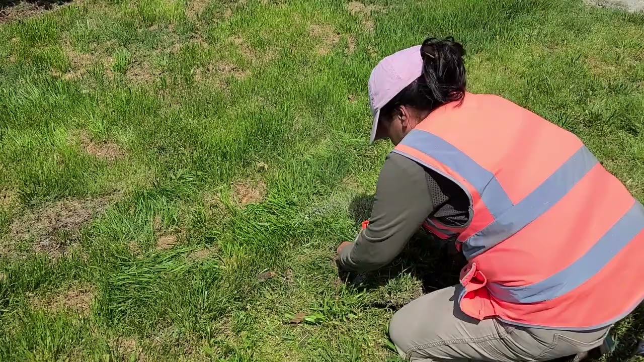 The Karen and Chad Show: Second Surveyors Concrete the pin in