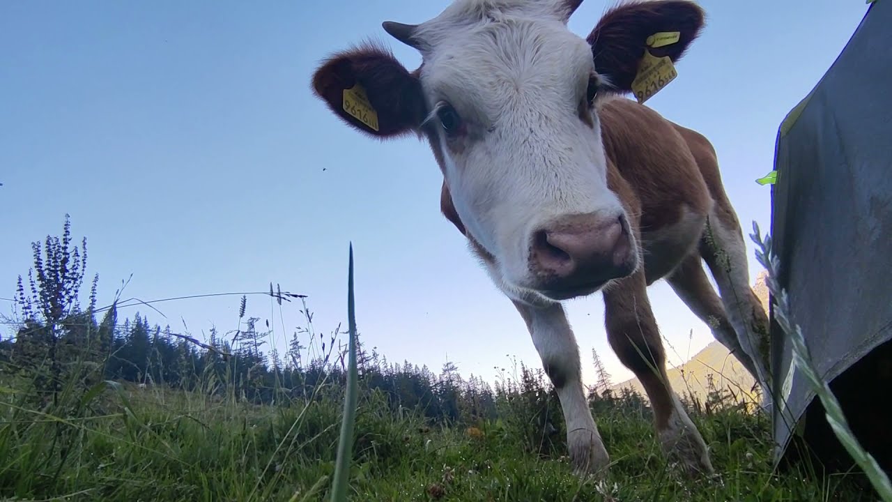 [TOA] Wandern in &Ouml;sterreich 2020 - Dachsteinmassiv-Reiteralm-Silberkarklamm