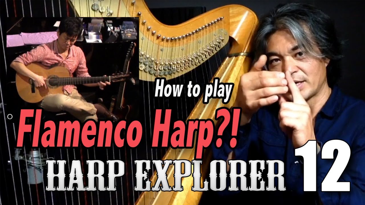 Harp EX12 - Flamenco Harp!