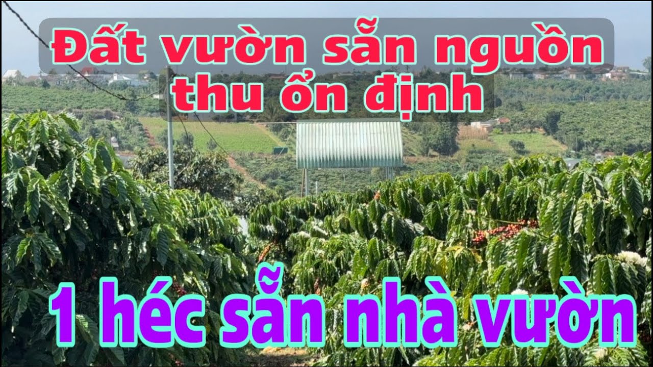 Đất vườn Tân Hà Lâm Hà, 1 héc sẵn nhà và thổ cư_ có view thoáng đẹp và nguồn thu mạnh