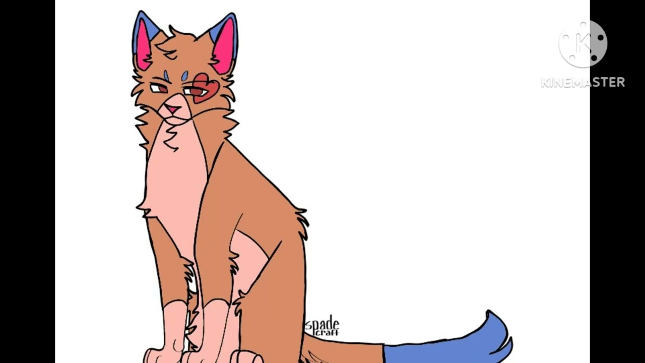Cat Ace Trappola