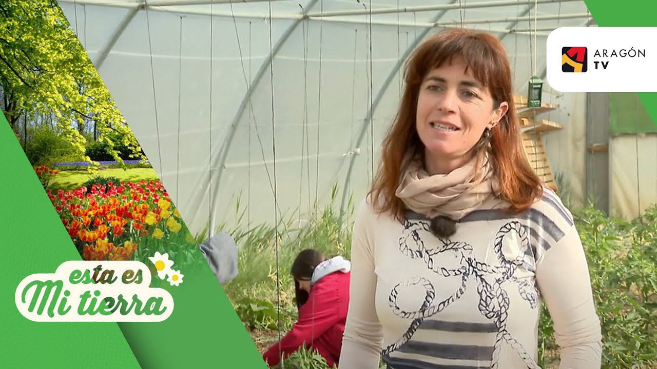 Una eco-escuela en Ejea de los Caballeros