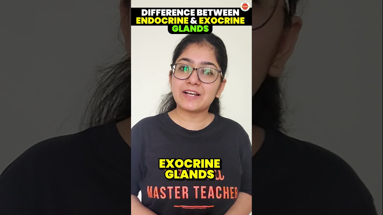 Endocrine vs Exocrine Glands 📚 Class 10 Biology #BoardExam2024 #Science