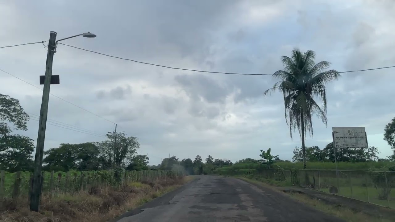 【世界の風景 コスタリカ】Road of Costa Rica 2026.Mar.07 Milano, Bellavista, Silencio, Limón